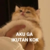 AKU GA IKUTAN KOK