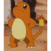 Pokemon 27