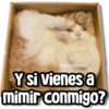 @rose.stickers1
Y si vienes a
mimir conmigo?