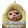 Memes pa' enviar de Gatitos 12