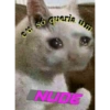 Flerte 14