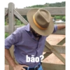 Figurinhas / Memes 11