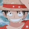 Monkey d. luffy 9