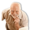 MEMES HAROLD THE PAIN 15
