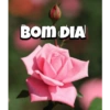 Amém 6