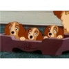 Lady and the tramp 10