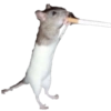 MEMES NECESSÁRIOS 12