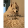 Flerte 16