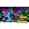 Good Morning 29