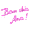 Camilo 26
