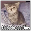 🚫Memes que no viste6🚫 26
