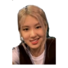 BLACKPINK IN YOUR MEME 24