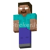 Minecraft 30