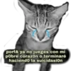 Gatitos tristes 20