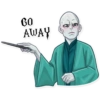 Voldemort Harry Potter 17