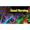Good Morning 30