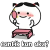 Pigtailed pentol 13
