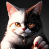 Gatos 11
