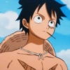 Monkey d. luffy 16