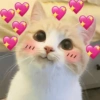 💖💞Love Reactions 3💞💖 8
