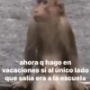 2 ahora q hago en vacaciones si al único lado que salía era a la escuela
