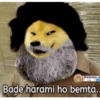 @memes_a
Bade harami ho bemta..