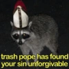 🐼🗑🦝 Raccoons l 🦝 🗑 🐼  10