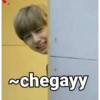 Kpop br memes 15