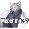 Memes para Caballeros 🧐🍷 10