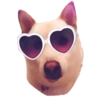 🐱🐾🐶 irl pets l 🐶🐾🐱 13
