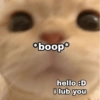 *boop*
hello :D
i lub you