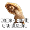 Gatitos amorosos. 15