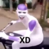 XD