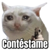 Gatos sad 2 28