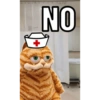 ENFERMERBROS🧑🏻‍⚕️🐱🐒 9