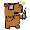 Chigüires (Capibara) 18