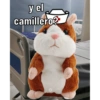ENFERMERBROS🧑🏻‍⚕️🐱🐒 11