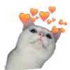 Gatos Sad 20