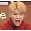 SEVENTEEN-3 8