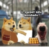 Sticker pack 3 (dogeism) 10