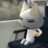 White cat 5