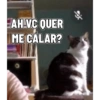 Chicória Maria #3 11