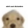 abril casi diciembre