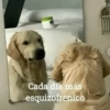 Cada día más esquizofrenico