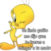 Un lindo gatito
me dijo que;
te fueras a
chingar a tu madre