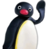 Pingu 🐧 O&M 8