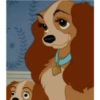 Lady and the tramp 8