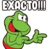 Frogs nuevos  13