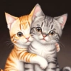 Gatos 6