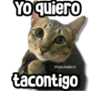 Yo quiero
@rose.stickers1
tacontigo